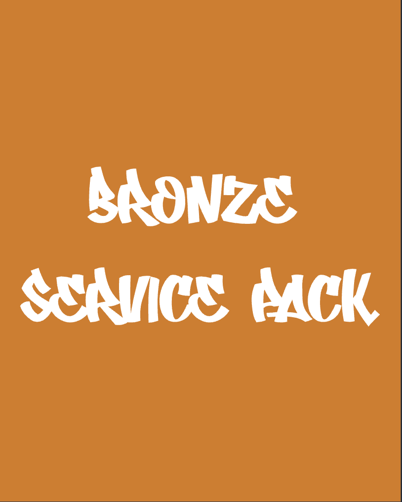 The Bronze Service Pack